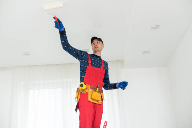 Best Ceiling Drywall Installation  in North Sarasota, FL