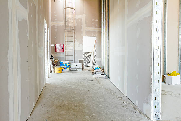 Best Drywall for New Construction  in North Sarasota, FL